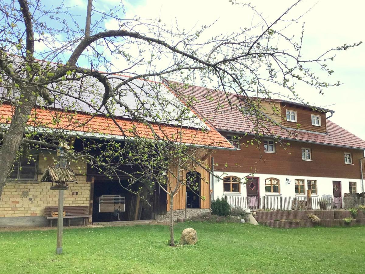 Holstein-hoefle, Rindalphorn *
